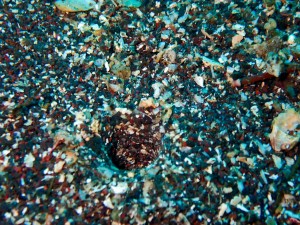 LINE_ALBUM_20250813_250813_62