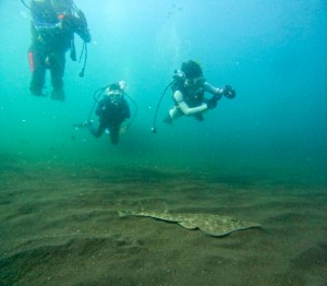 LINE_ALBUM_20250820_250820_124