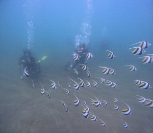 LINE_ALBUM_20250820_250820_15