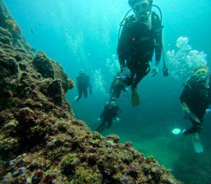 LINE_ALBUM_20250829_250829_15
