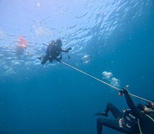LINE_ALBUM_20250829_250829_52