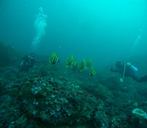 LINE_ALBUM_20250829_250829_59