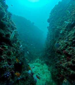 LINE_ALBUM_20250829_250829_62