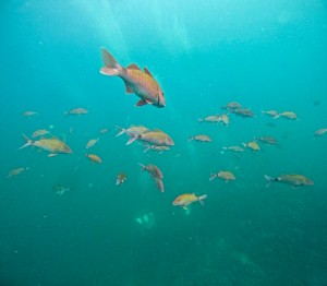 LINE_ALBUM_20250829_250829_64