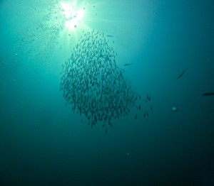 LINE_ALBUM_20250830-_1_250830_10