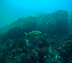 LINE_ALBUM_20250830-_1_250830_13
