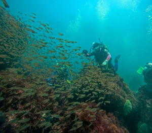 LINE_ALBUM_20250830-_1_250830_15