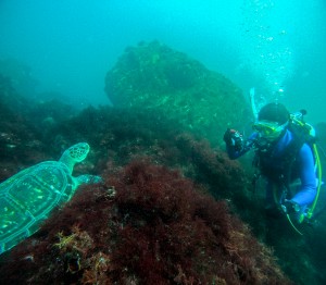 LINE_ALBUM_20250830-_1_250830_21