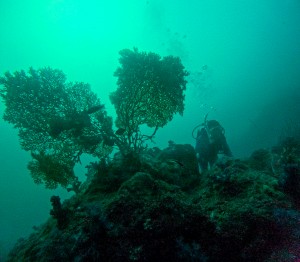 LINE_ALBUM_20250830-_1_250830_24
