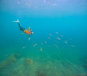 LINE_ALBUM_20250830_250830_15