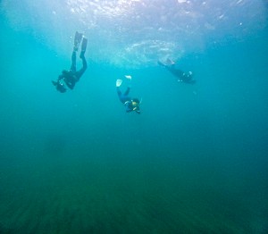 LINE_ALBUM_20250831_250831_19