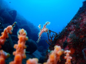 P8040048