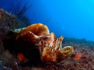 P8040052