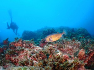 P8050092