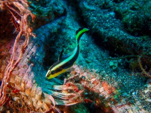 P8060018