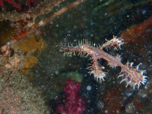 P8270198