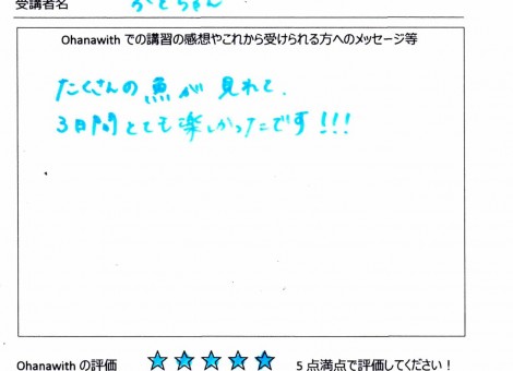 アンケート