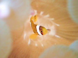 line_oa_chat_250811_182836_group_3