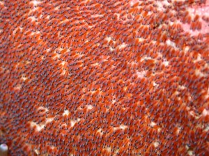 line_oa_chat_250812_193039