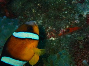 line_oa_chat_250812_193041