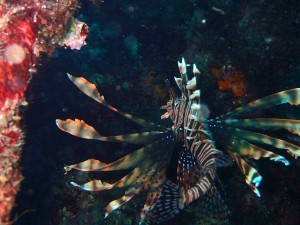 line_oa_chat_250813_182936