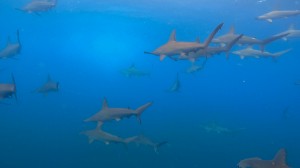 line_oa_chat_250816_192700_group_0