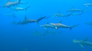 line_oa_chat_250816_192700_group_1