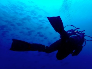 line_oa_chat_250816_192736_group_0