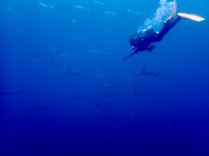 line_oa_chat_250816_192736_group_3
