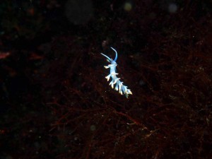 line_oa_chat_250826_183536