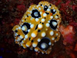 line_oa_chat_250827_190345