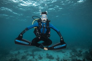 Dive Image