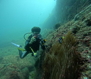 DCIM101GOPROGOPR0022.JPG