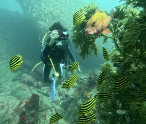 DCIM101GOPROGOPR0035.JPG