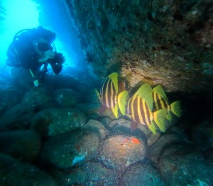 DCIM101GOPROGOPR0056.JPG