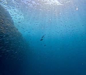 DCIM101GOPROGOPR0069.JPG