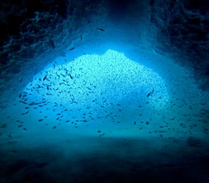 DCIM101GOPROGOPR0083.JPG