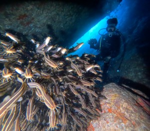 DCIM101GOPROGOPR0107.JPG