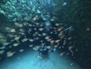 DCIM101GOPROGOPR0158.JPG