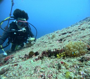 DCIM101GOPROGOPR0166.JPG
