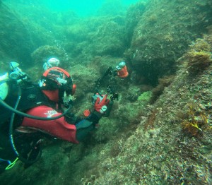 DCIM101GOPROGOPR0193.JPG