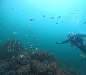 DCIM101GOPROGOPR0206.JPG