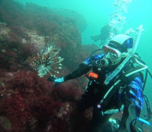 DCIM101GOPROGOPR0214.JPG