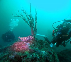 DCIM101GOPROGOPR0235.JPG