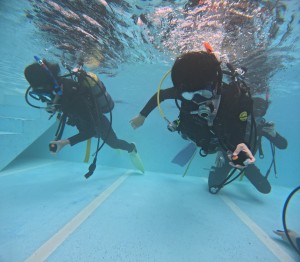 DCIM101GOPROGOPR0263.JPG