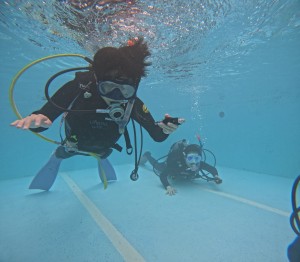 DCIM101GOPROGOPR0264.JPG