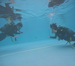 DCIM101GOPROGOPR0266.JPG