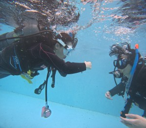 DCIM101GOPROGOPR0268.JPG