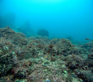 GOPR0406