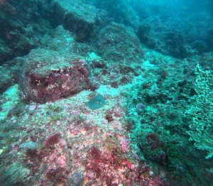 DCIM101GOPROGOPR0529.JPG